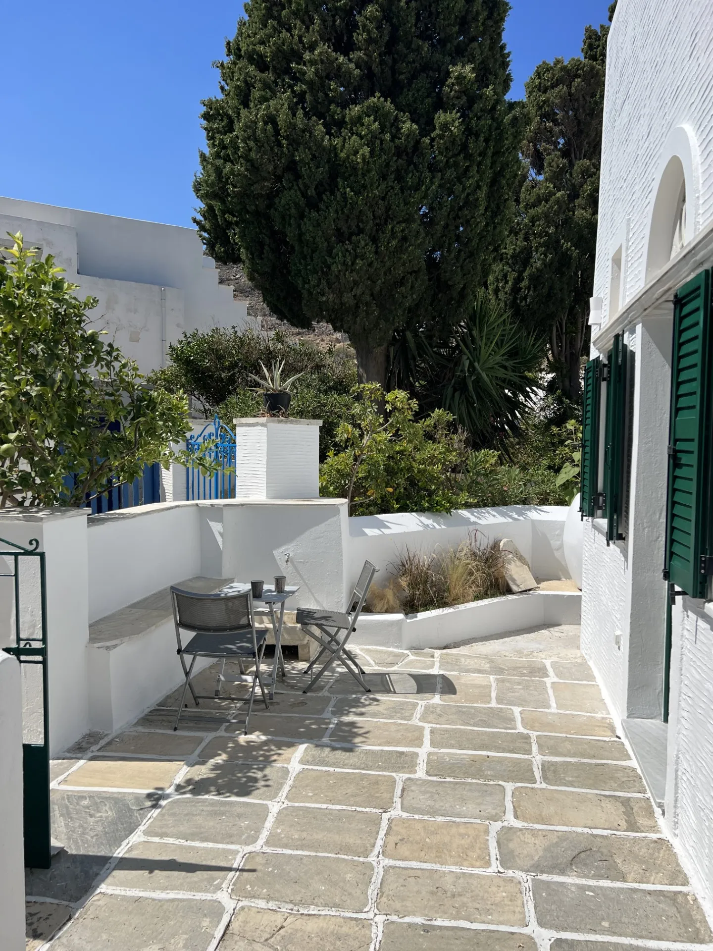 Building facade with green shutters